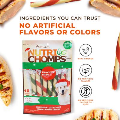 5-inch Real Mint Flavored Mini Twists Hard Chew Dog Treats, 10 count