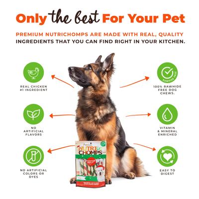 5-inch Real Mint Flavored Mini Twists Hard Chew Dog Treats, 10 count