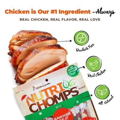 5-inch Real Mint Flavored Mini Twists Hard Chew Dog Treats, 10 count