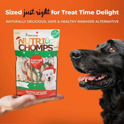 5-inch Real Mint Flavored Mini Twists Hard Chew Dog Treats, 10 count