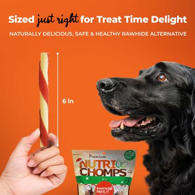 4.5-inch Real Mint Flavored Candy Cane Shaped Hard Chew Dog Treats, 12 count