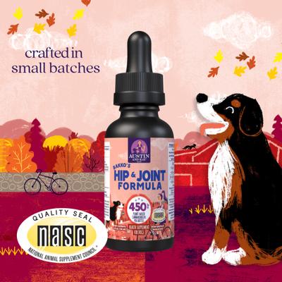 Bakko's Hip & Joint 450mg Broad Spectrum Hemp Oil Liquid Supplement for Dogs, 1-fl oz bottle