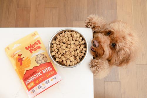 Chicken Rawbiotic Bites Digestive Health High Protein Dog Food Topper, 6.4-oz bag