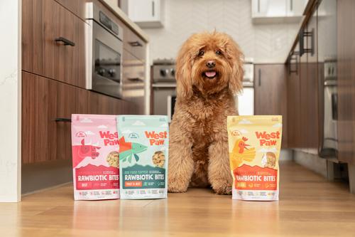 Chicken Rawbiotic Bites Digestive Health High Protein Dog Food Topper, 6.4-oz bag