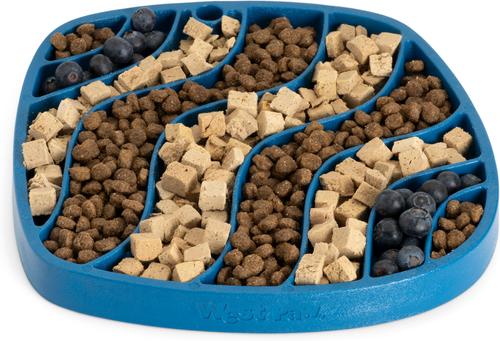 Chicken Rawbiotic Bites Digestive Health High Protein Dog Food Topper, 6.4-oz bag