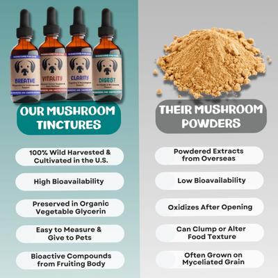 Clarity Mushroom Extract & Adaptogen Blend Calming + Cognitive Liquid Supplement for Dogs, 2-oz bottle