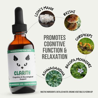 Clarity Mushroom Extract & Adaptogen Blend Calming + Cognitive Liquid Supplement for Cats, 2-oz bottle