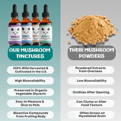 Vitality Mushroom Extract & Adaptogen Blend Immune Liquid Supplement for Cats, 2-oz bottle
