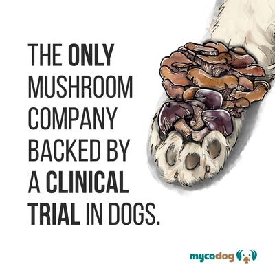 Clarity Mushroom Extract & Adaptogen Blend Calming + Cognitive Liquid Supplement for Dogs, 2-oz bottle