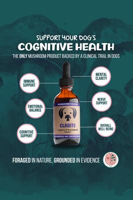 Clarity Mushroom Extract & Adaptogen Blend Calming + Cognitive Liquid Supplement for Dogs, 2-oz bottle