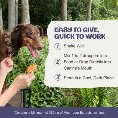 Clarity Mushroom Extract & Adaptogen Blend Calming + Cognitive Liquid Supplement for Dogs, 2-oz bottle