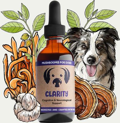 Clarity Mushroom Extract & Adaptogen Blend Calming + Cognitive Liquid Supplement for Dogs, 2-oz bottle
