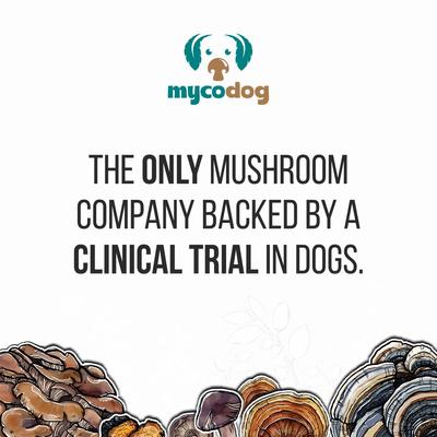 Turkey Tail Mushroom Extract Immune Liquid Supplement for Dogs, 1-fl oz bottle