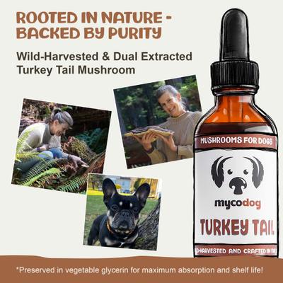 Turkey Tail Mushroom Extract Immune Liquid Supplement for Dogs, 1-fl oz bottle