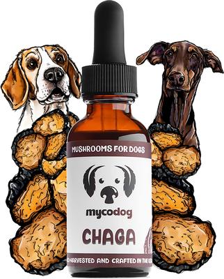 Chaga Mushroom Extract Immune + Antioxidant Liquid Supplement Support for Dogs, 1-fl oz bottle