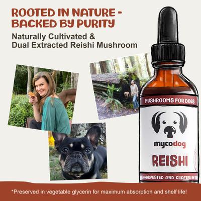 Reishi Mushroom Extract Longevity + Calming Liquid Supplement for Dogs, 1-fl oz bottle