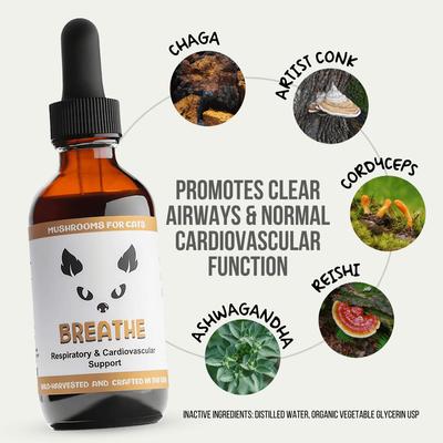 Extracto de hongos Breathe y mezcla adaptogénica, suplemento líquido respiratorio y cardiovascular para gatos, botella de 2 oz