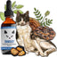 Digest Mushroom Extract & Adaptogen Blend Gut Health + Digestive Liquid Supplement for Cats, 2-oz bottle