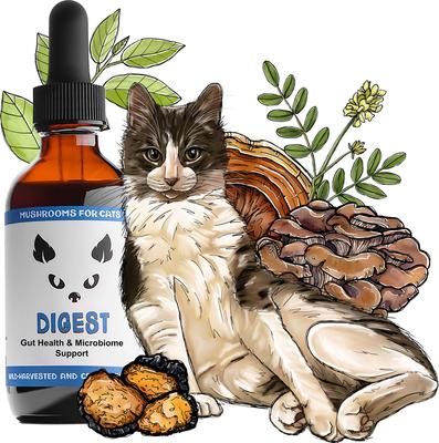 Digest Mushroom Extract & Adaptogen Blend Gut Health + Digestive Liquid Supplement for Cats, 2-oz bottle