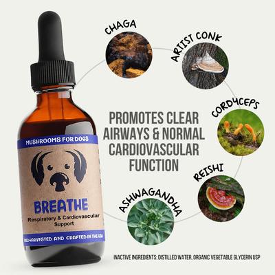 Breathe Mushroom Extract & Adaptogen Blend Respiratory + Cardiovascular Liquid Supplement for Dogs, 2-oz bottle