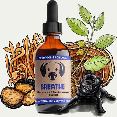 Extracto de hongos Breathe y mezcla adaptogénica, suplemento líquido respiratorio y cardiovascular para perros, botella de 2 oz