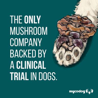 Vitality Mushroom Extract & Adaptogen Blend Immune Liquid Supplement for Dogs, 2-oz bottle