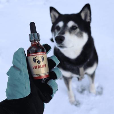 Vitality Mushroom Extract & Adaptogen Blend Immune Liquid Supplement for Dogs, 2-oz bottle