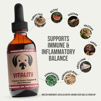 Vitality Mushroom Extract & Adaptogen Blend Immune Liquid Supplement for Dogs, 2-oz bottle
