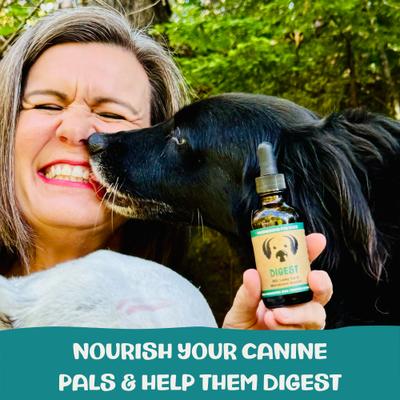 Digest Mushroom Extract & Adaptogen Blend Gut Health + Digestive Liquid Supplement for Dogs, 2-oz bottle