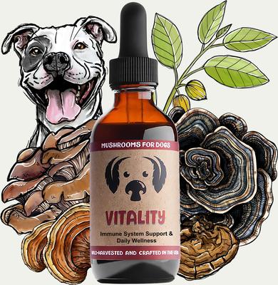 Vitality Mushroom Extract & Adaptogen Blend Immune Liquid Supplement for Dogs, 2-oz bottle