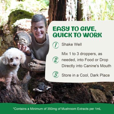 Digest Mushroom Extract & Adaptogen Blend Gut Health + Digestive Liquid Supplement for Dogs, 2-oz bottle