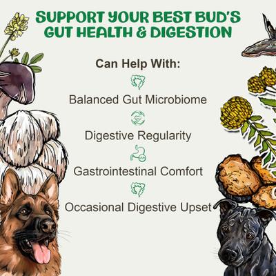 Digest Mushroom Extract & Adaptogen Blend Gut Health + Digestive Liquid Supplement for Dogs, 2-oz bottle