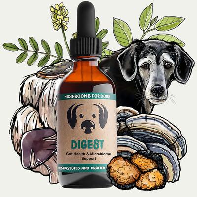 Digest Mushroom Extract & Adaptogen Blend Gut Health + Digestive Liquid Supplement for Dogs, 2-oz bottle