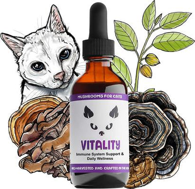 Vitality Mushroom Extract & Adaptogen Blend Immune Liquid Supplement for Cats, 2-oz bottle