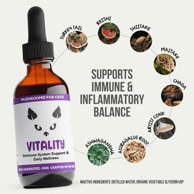 Vitality Mushroom Extract & Adaptogen Blend Immune Liquid Supplement for Cats, 2-oz bottle