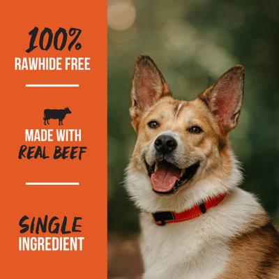 Smoked Beefy Knuckle Dog Treat