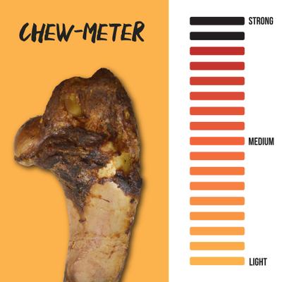 Large Pork Bone Dog Treat