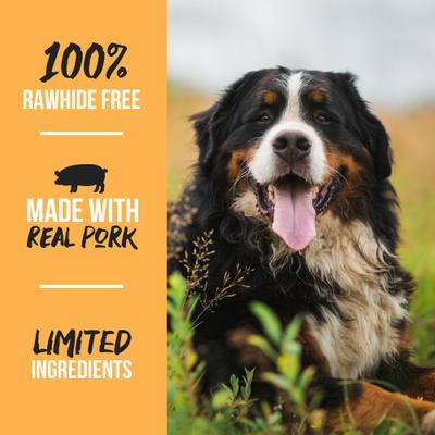 Pork Knee Bone Dog Treat