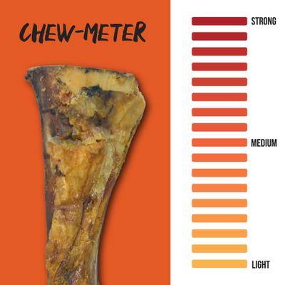 Meaty Mammoth Jr. Beef Bone Dog Treat