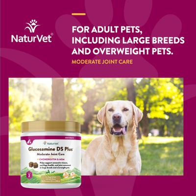 Bundle: NaturVet Quiet Moments Calming Aid Plus Melatonin Soft Chews Dog Supplement,13.9-oz tub, 180 count + NaturVet Glucosamine DS Plus MSM & Chondroitin Dog & Cat Soft Chews, 120 count