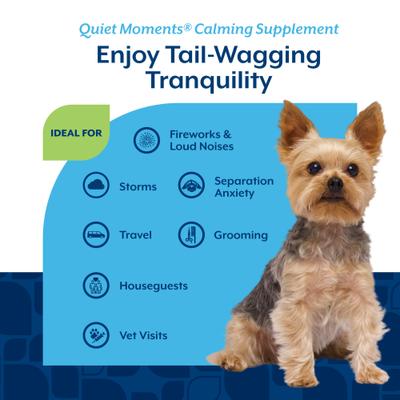 NaturVet, Quiet Moments, tabletas calmantes con melatonina sabor mantequilla de cacahuate para perros, 30 tabletas
