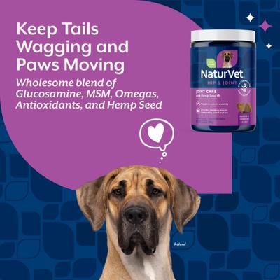 Bundle: NaturVet Hemp Quiet Moments Plus Hemp Seed Dog Soft Chews, 180 count + NaturVet Hemp Joint Health Plus Hemp Seed Soft Chews Dog Supplement, 120 count