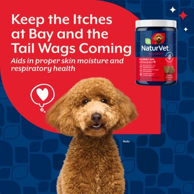 Bundle: NaturVet Hemp Joint Health Plus Hemp Seed Soft Chews Dog Supplement, 60 count + NaturVet Hemp Allergy Aid Plus Hemp Seed Dog Soft Chews, 120 count