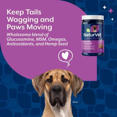 Bundle: NaturVet Hemp Joint Health Plus Hemp Seed Soft Chews Dog Supplement, 60 count + NaturVet Hemp Allergy Aid Plus Hemp Seed Dog Soft Chews, 120 count