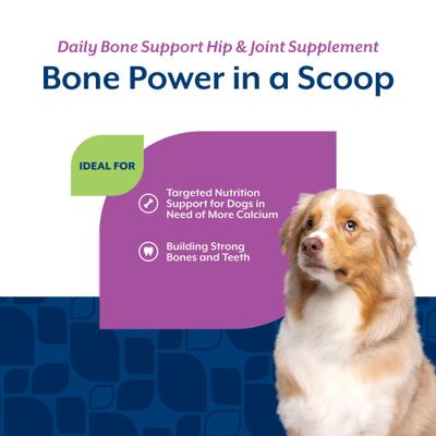 Daily Bone Support Hip & Joint Powder Supplement for Dogs, 1-lb jar