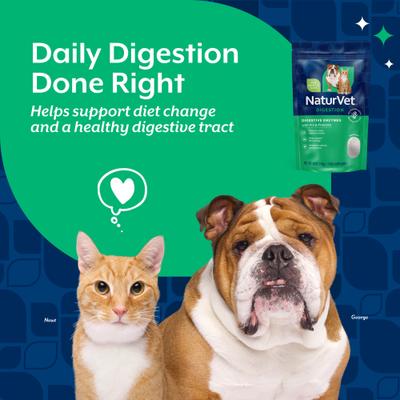 NaturVet, Digestive Enzymes, polvo con enzimas digestivas, probióticos y jengibre para perros y gatos, bolsa de 283 g