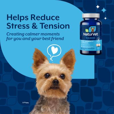 NaturVet, Quiet Moments, tabletas calmantes con melatonina sabor mantequilla de cacahuate para perros, 30 tabletas