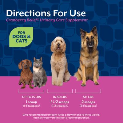NaturVet, Cranberry Relief Urinary Care, suplemento en polvo con arándano, equinácea y vitamina C para perros y gatos, 47 g