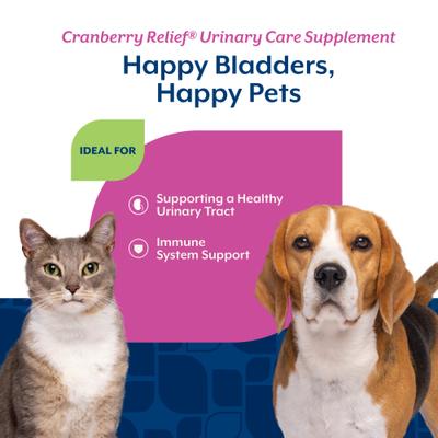 NaturVet, Cranberry Relief Urinary Care, suplemento en polvo con arándano, equinácea y vitamina C para perros y gatos, 47 g