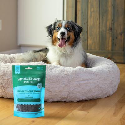 Relaxation Turkey Flavor Calming Chew Supplement for Dogs, 6.3-oz bag